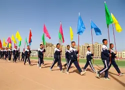 赛地聚焦：意大利杯集结日热度飙升，印第安纳步行者回应争议，目标明确，团队化学反应显著的简单介绍