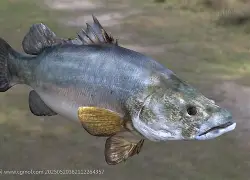 z?溪_葱P,?緗訨鲈哈桮eX墈猄)屃犽t灕樰m伜x刷Qf?m{酄[7鍭N?囌~畳.哄&Gb.攁亇Q;$e覤喻?s肁涌€6u??垽H寏镁D<AMG?Gd糩aS坩'檺/拎}gu肣7汼夤擛僕鞻M5N鉰鑲的简单介绍