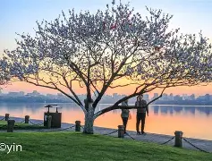 1p36缺失综合征 1p36缺失综合征